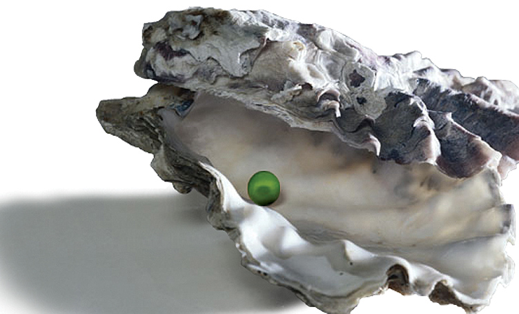 Photoshop Design by zaheersc for DesignCrowd (Community Contests) | Design #9033354