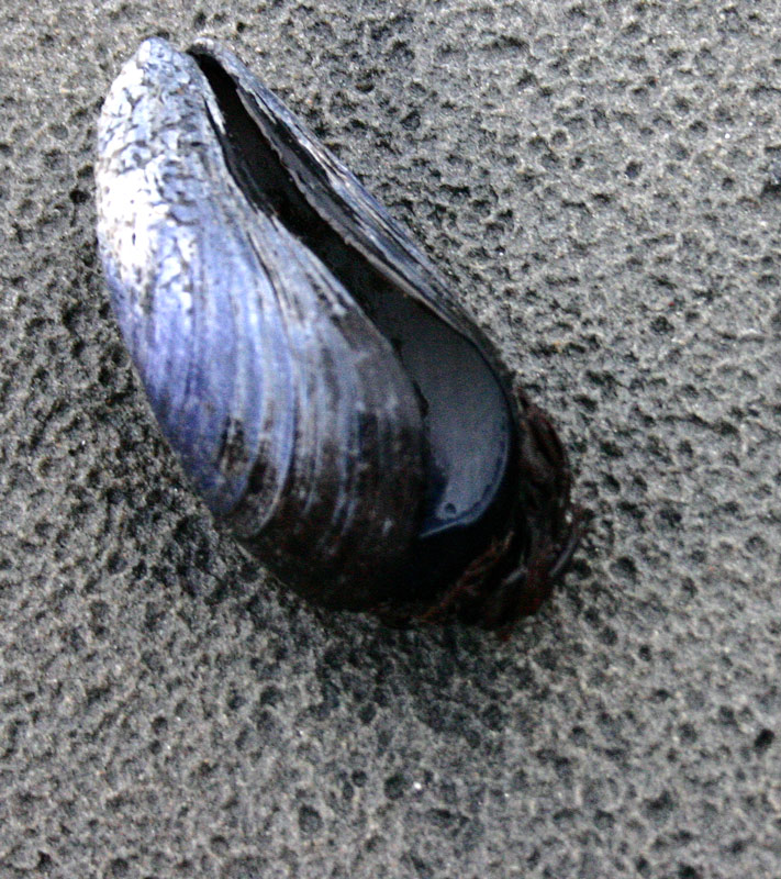 Photographie par rdchdwck pour DesignCrowd (Community Contests) | Design #9033831