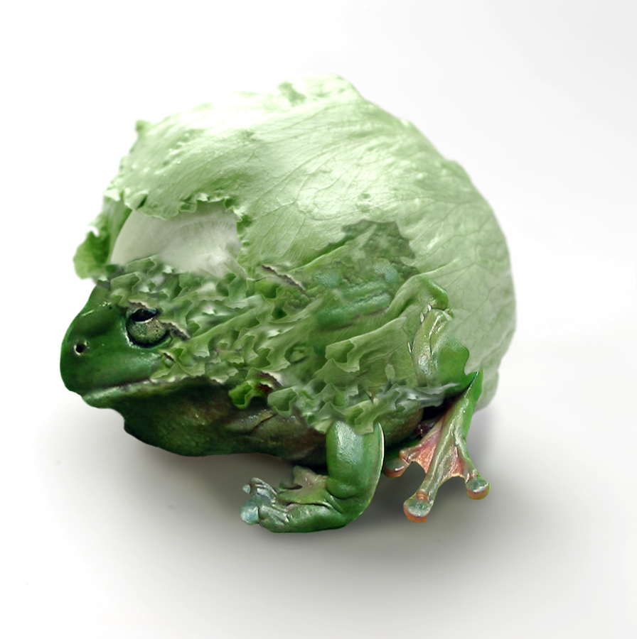 Diseño de Photoshop por Terrence para DesignCrowd (Community Contests) | Diseño #9033331