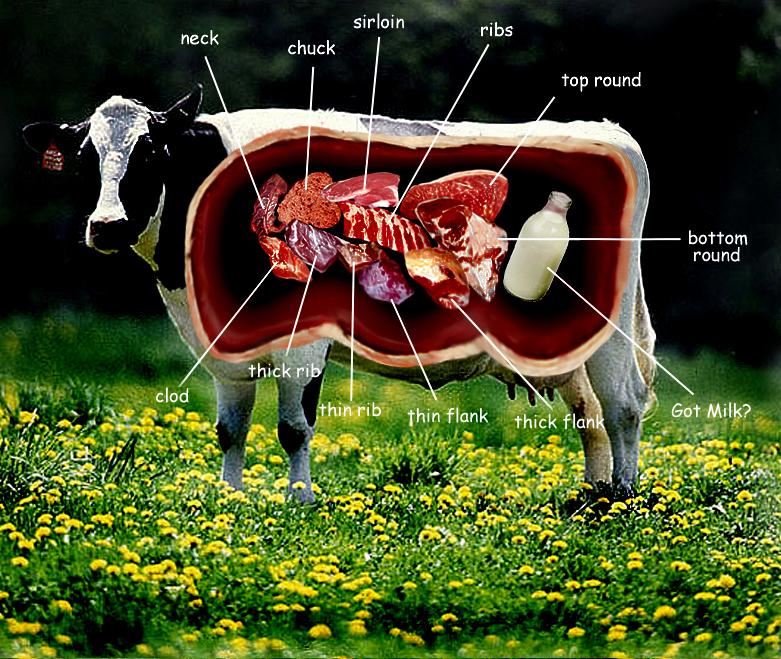 Photoshop-Design von Dayla66 für DesignCrowd (Community Contests) | Design #9035952