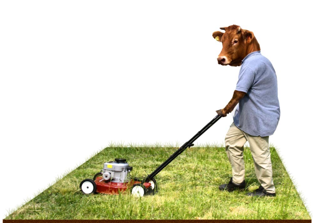 Diseño de Photoshop por Pepito7 para DesignCrowd (Community Contests) | Diseño #9036005