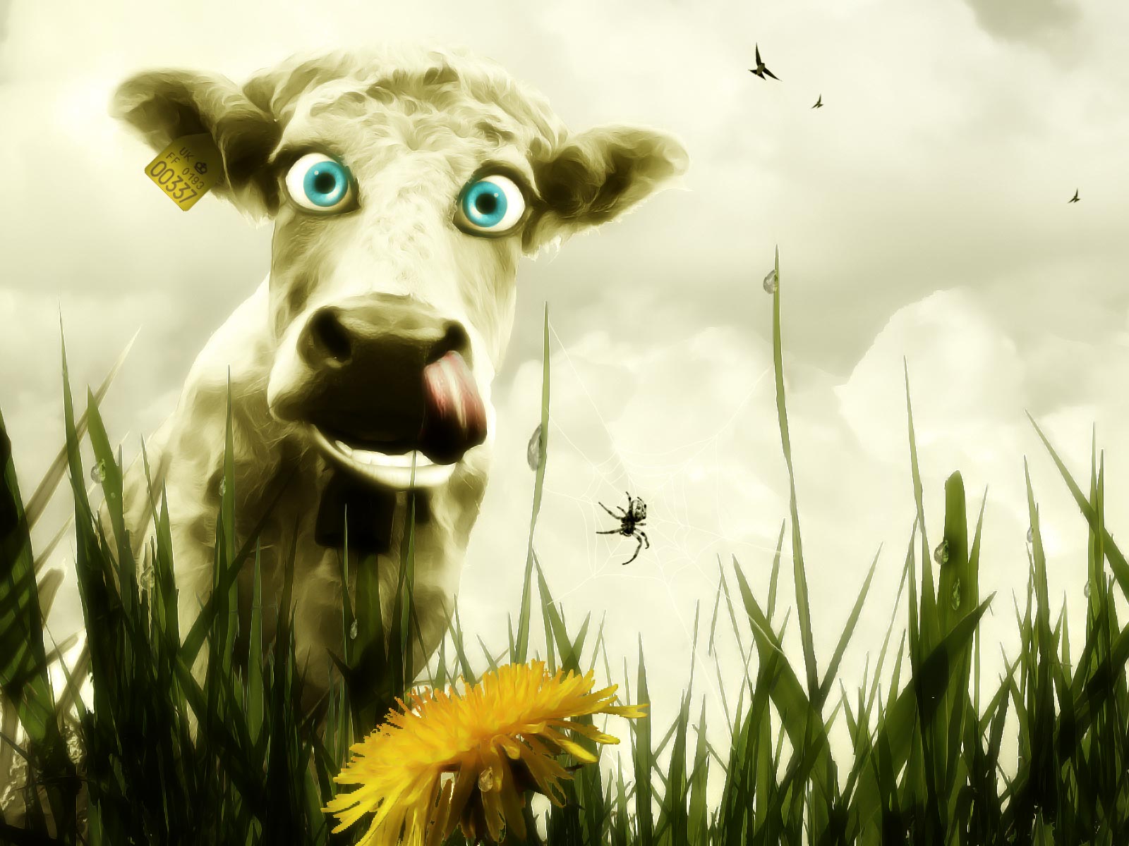 Photoshop Design by LemmyRocks for DesignCrowd (Community Contests) | Design #9036201