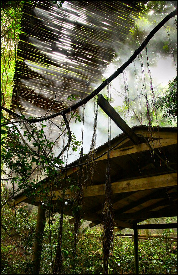 Fotografie von Juicer für DesignCrowd (Community Contests) | Design #9034185