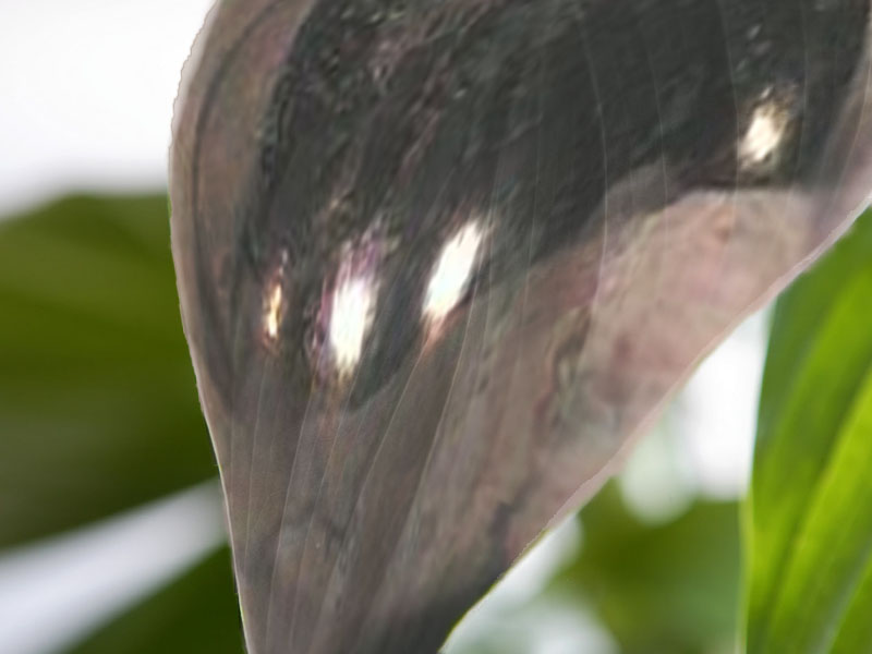 Design Photoshop par WiseMonkey pour DesignCrowd (Community Contests) | Design #9040215