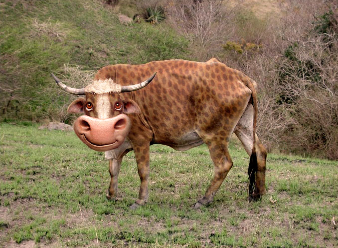 Photoshop Design by clara1156 for DesignCrowd (Community Contests) | Design #9036168