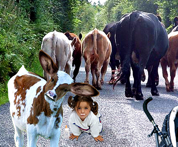 Photoshop-Design von Lacenflanl für DesignCrowd (Community Contests) | Design #9036211