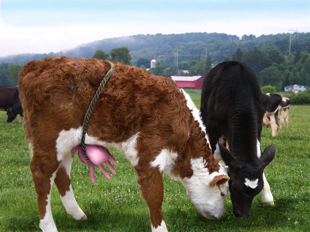 Photoshop Design by sugarcane for DesignCrowd (Community Contests) | Design #9036125