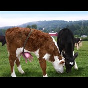 Photoshop Design by sugarcane