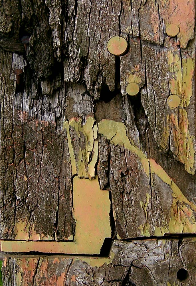 Fotografie von DutchPuh für DesignCrowd (Community Contests) | Design #9033887