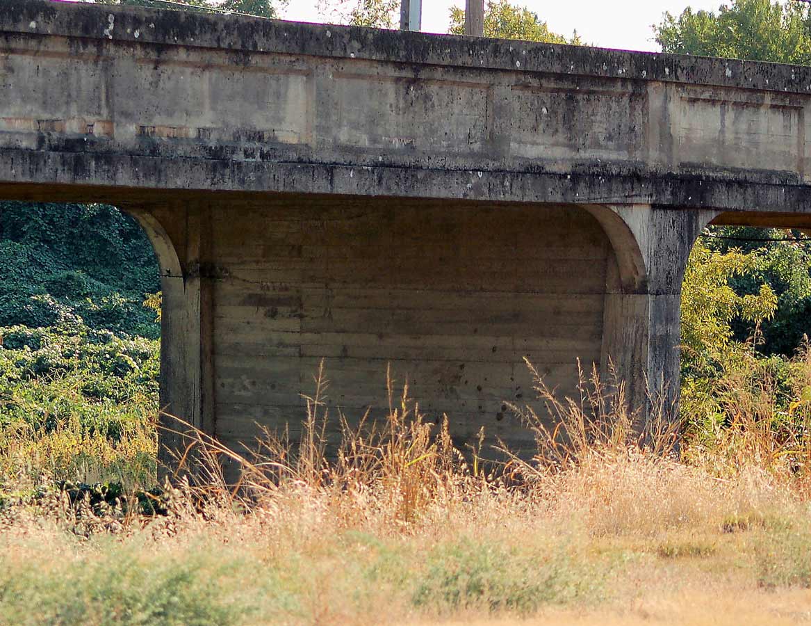 Photography by alwaysbeencreative for DesignCrowd (Community Contests) | Design #9034478