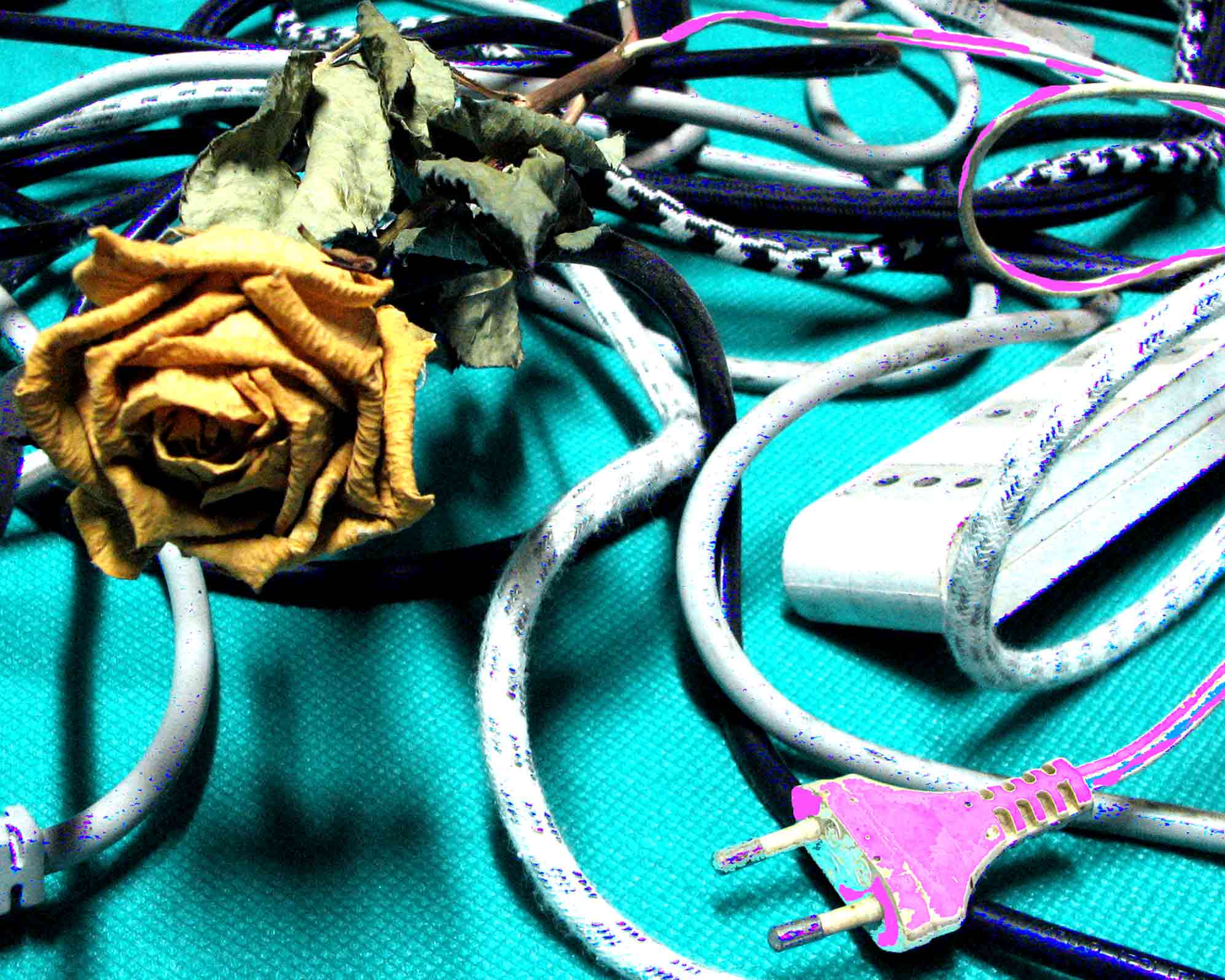 Photographie par Urania pour DesignCrowd (Community Contests) | Design #9033919