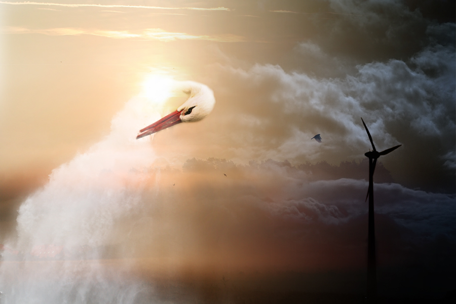 Photography by Drachan for DesignCrowd (Community Contests) | Design #9033931