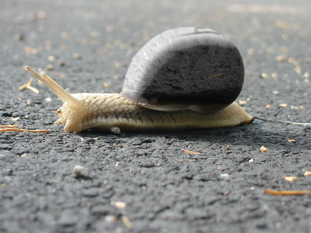 Design Photoshop par Jenzen pour DesignCrowd (Community Contests) | Design #9040313