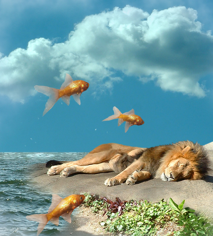 Fotografie von cameon für DesignCrowd (Community Contests) | Design #9033938