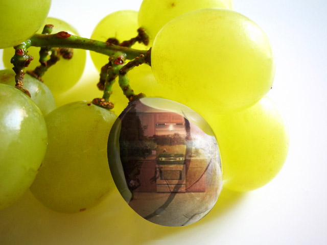 Photoshop Design by zebzie for DesignCrowd (Community Contests) | Design #9040335