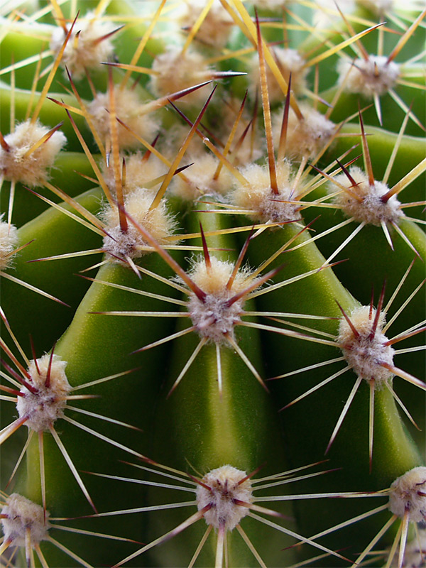 Photography by IsleofJura for DesignCrowd (Community Contests) | Design #9034050