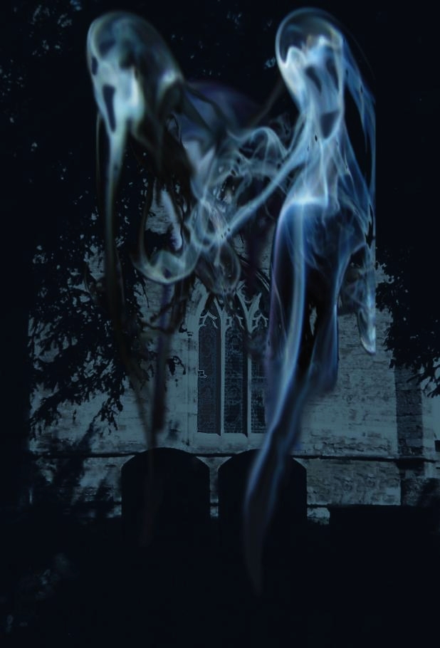 Fotografie von poisonyvy für DesignCrowd (Community Contests) | Design #9033985