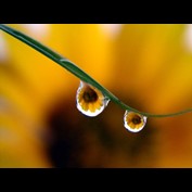 Photography by mzmzmzmz