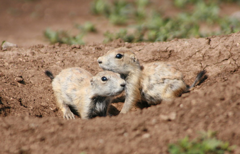 Photography by dgocken for DesignCrowd (Community Contests) | Design #9035621