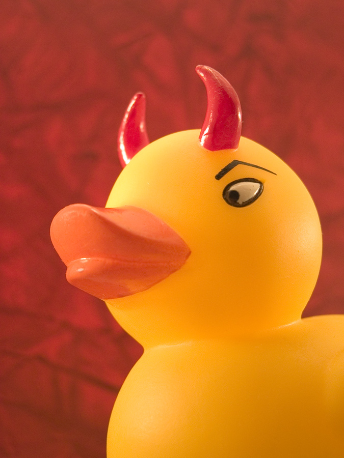 Photography by georgethedog for DesignCrowd (Community Contests) | Design #9033961