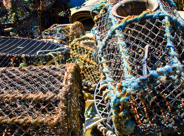 Fotografie von VikiBond für DesignCrowd (Community Contests) | Design #9034085