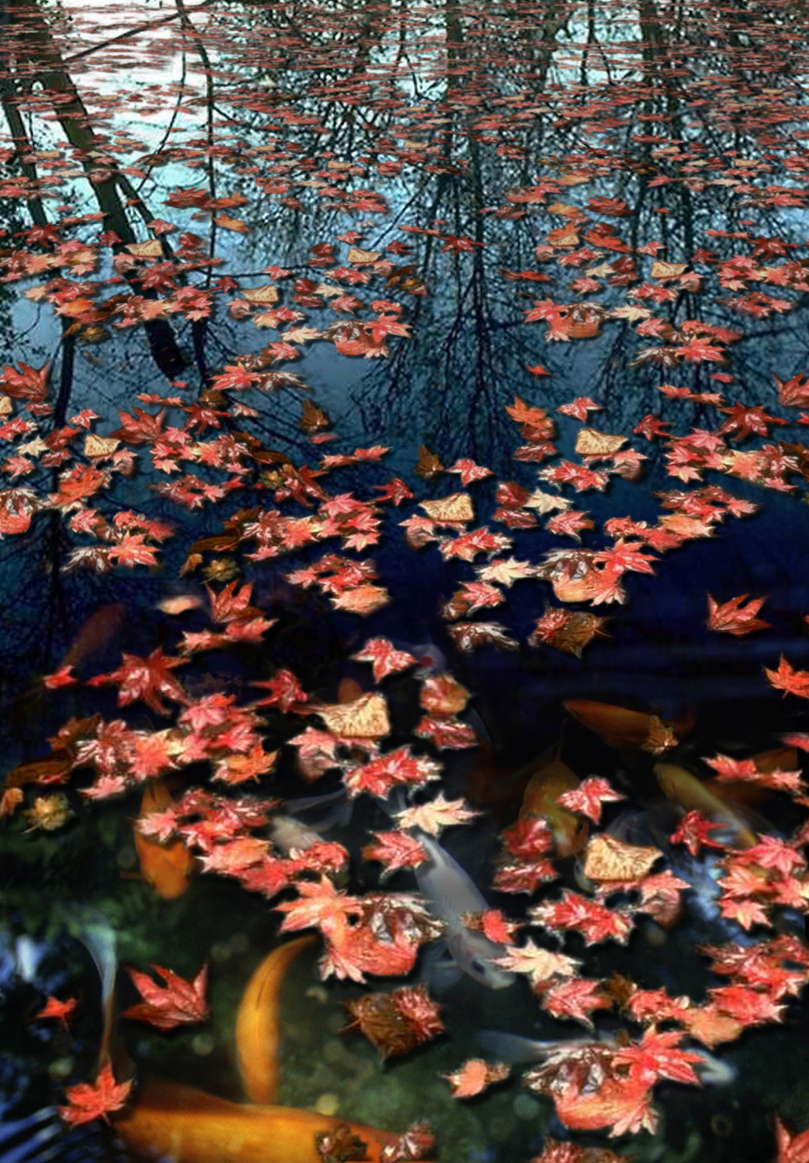 Photoshop Design by ravenwolven for DesignCrowd (Community Contests) | Design #9035617