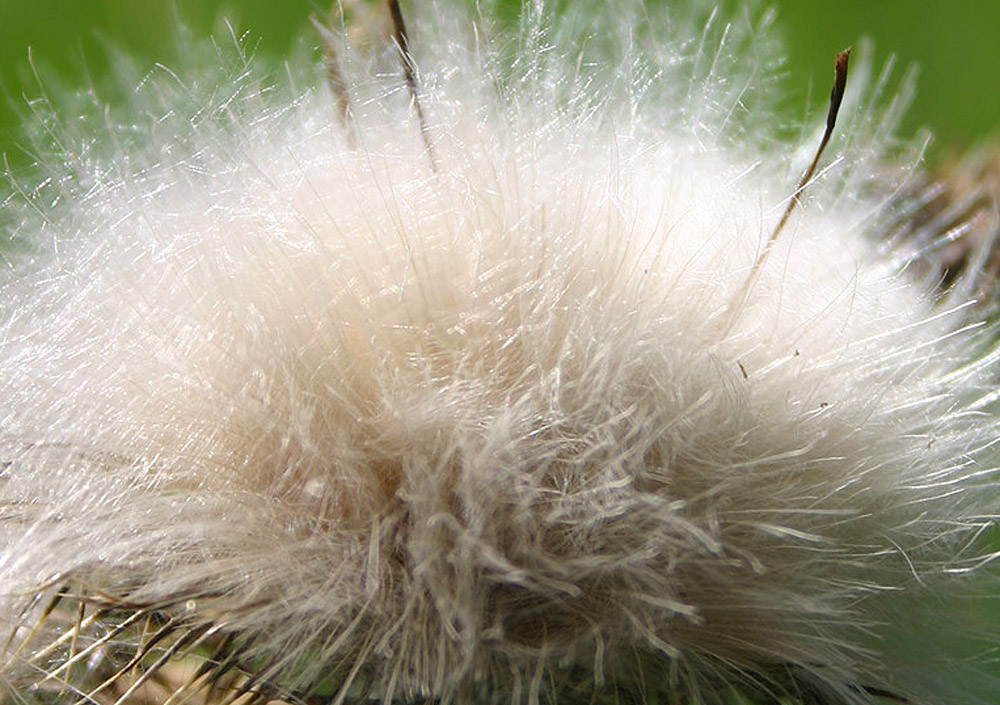 Photography by DurhamTyke for DesignCrowd (Community Contests) | Design #9034060