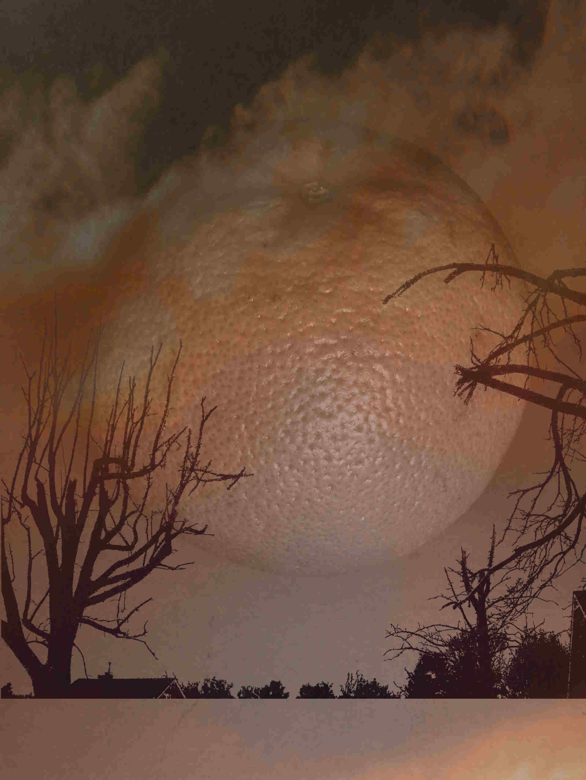 Photography by slimjewel1 for DesignCrowd (Community Contests) | Design #9033987