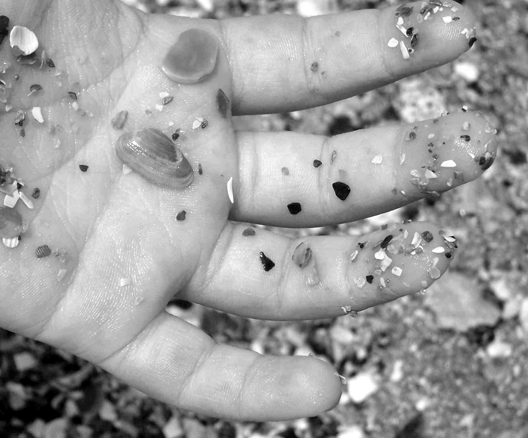 Photography by slimjewel1 for DesignCrowd (Community Contests) | Design #9027305