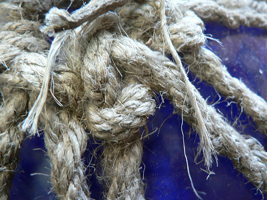 Photographie par gymp93 pour DesignCrowd (Community Contests) | Design #9034062