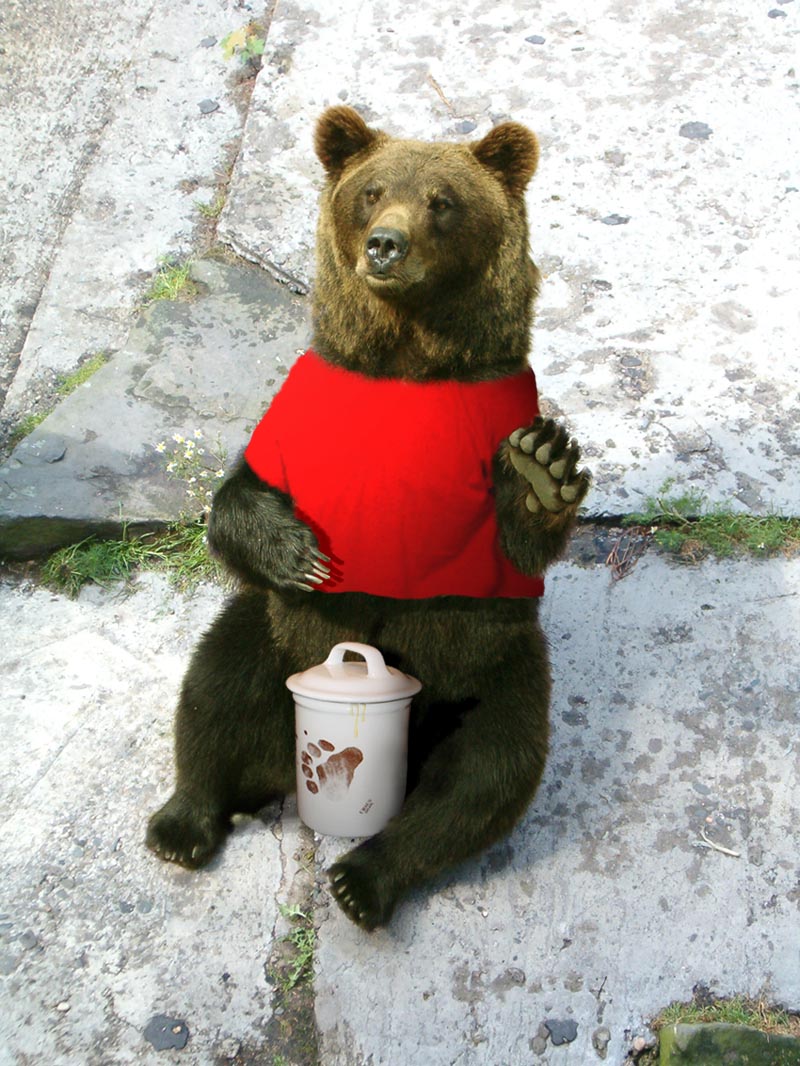 Photoshop Design by Limited Edition for DesignCrowd (Community Contests) | Design #9027834