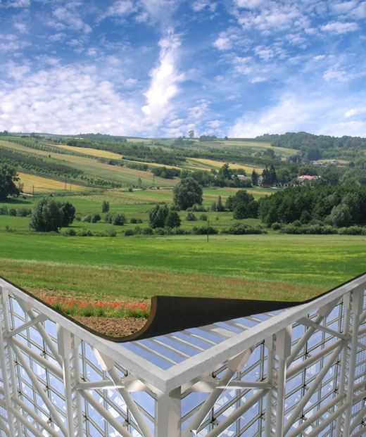 Fotografía por BearQT para DesignCrowd (Community Contests) | Diseño #9034031