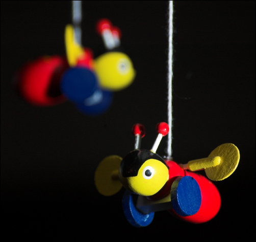 Photography by kimbomac for DesignCrowd (Community Contests) | Design #9033352