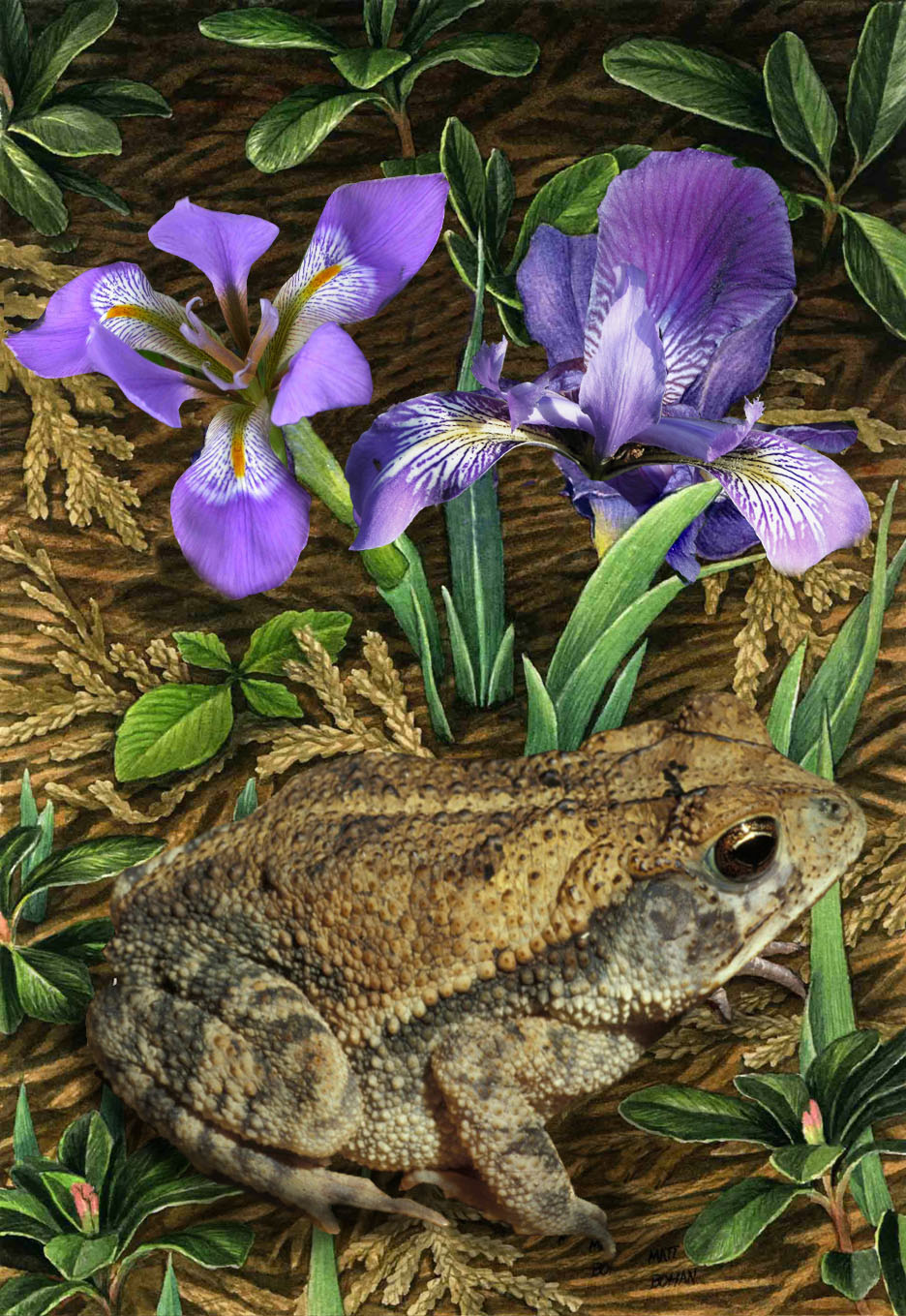 Design Photoshop par armiiin pour DesignCrowd (Community Contests) | Design #9035638