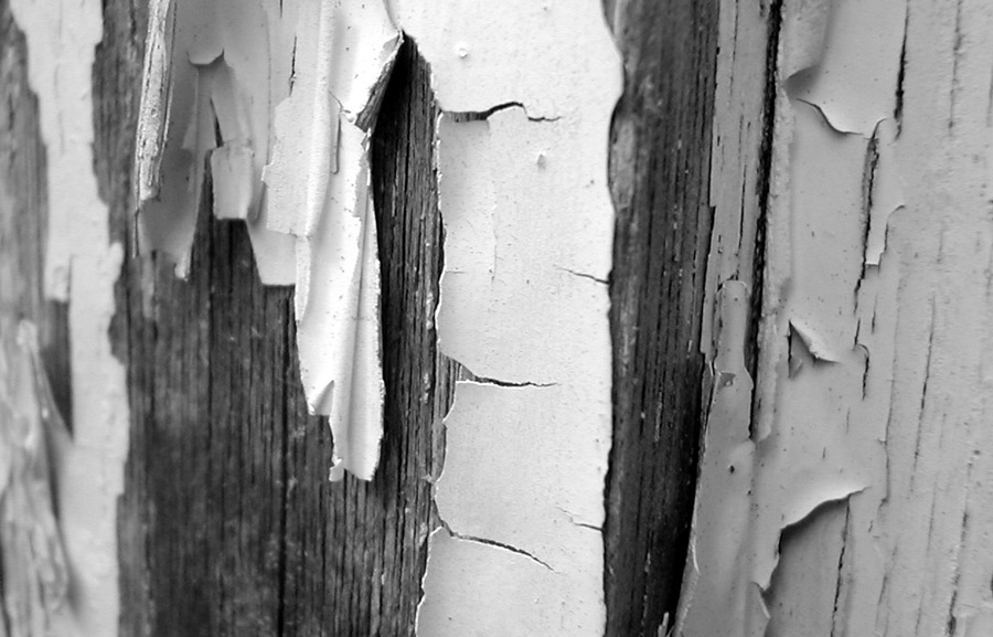 Photography by Jellybellybeans for DesignCrowd (Community Contests) | Design #9033999