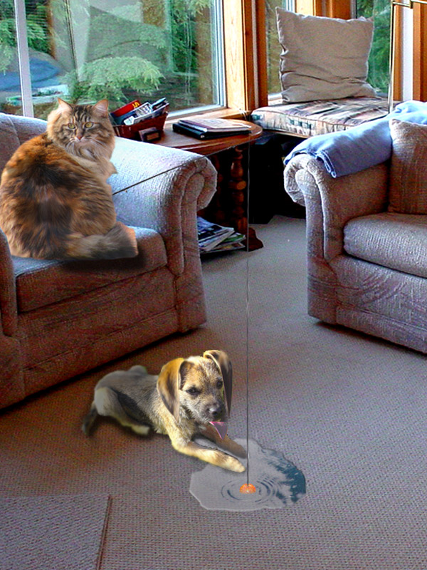 Diseño de Photoshop por abbydda para DesignCrowd (Community Contests) | Diseño #9027833