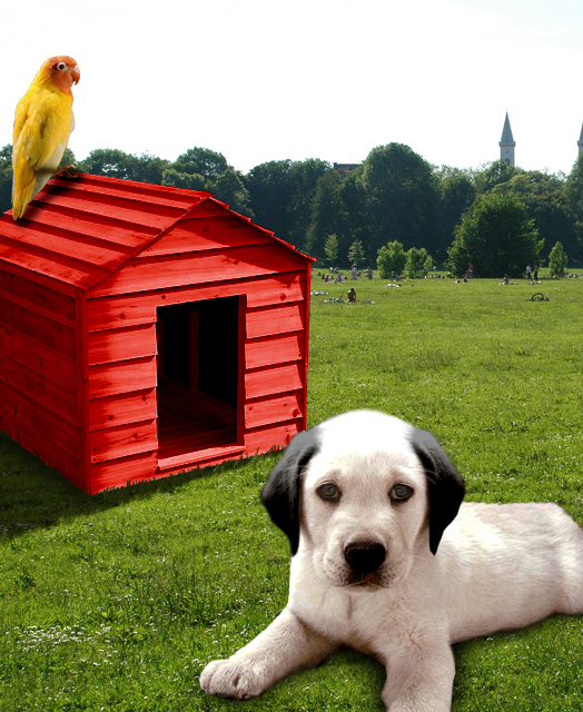 Diseño de Photoshop por Elmpts para DesignCrowd (Community Contests) | Diseño #9027836