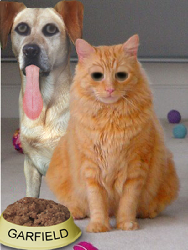 Photoshop Design by DebCam for DesignCrowd (Community Contests) | Design #9027843