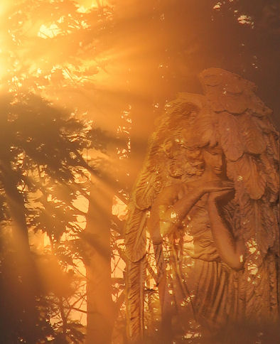 Photography by angel2kiss for DesignCrowd (Community Contests) | Design #9034017