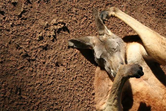 Photography by map9994 for DesignCrowd (Community Contests) | Design #9034134