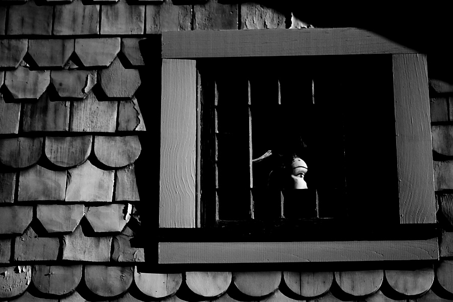 Photography by TamraT for DesignCrowd (Community Contests) | Design #9034163