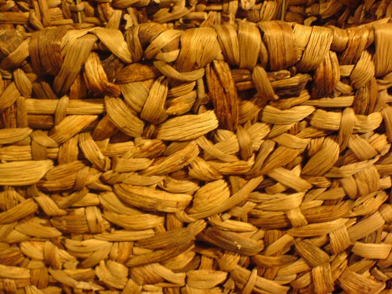 Photography by crudaal for DesignCrowd (Community Contests) | Design #9034129