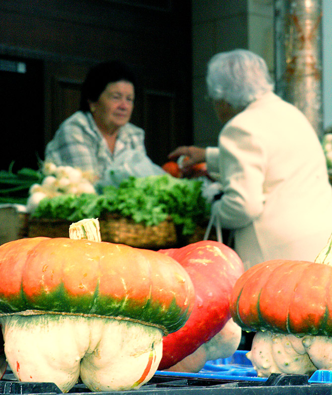 Photography by AsierReisa for DesignCrowd (Community Contests) | Design #9033351