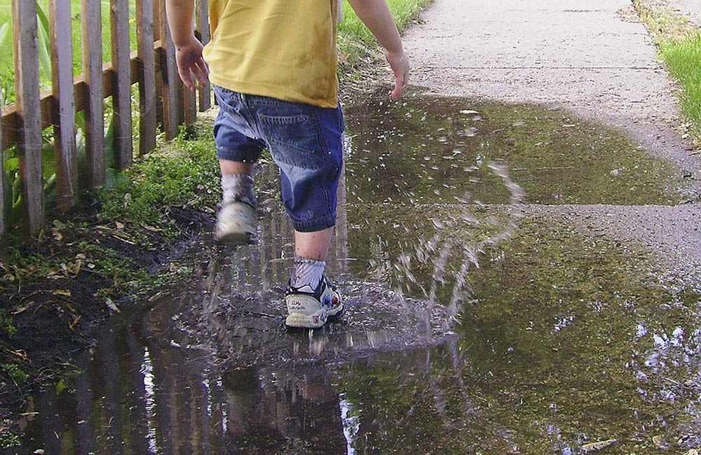 Photography by revdave33 for DesignCrowd (Community Contests) | Design #9027320