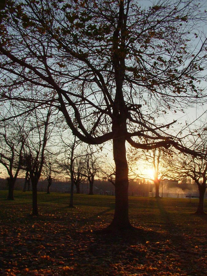 Photography by scarpino36109 for DesignCrowd (Community Contests) | Design #9035673