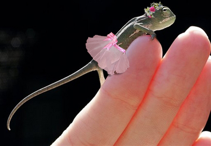 Design Photoshop par cridley pour DesignCrowd (Community Contests) | Design #9034575