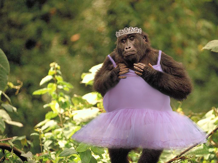 Photoshop-Design von katmgck für DesignCrowd (Community Contests) | Design #9034590