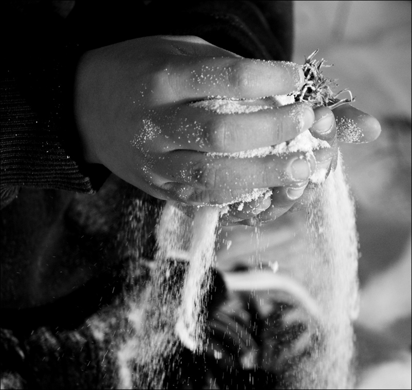 Photography by kimbomac for DesignCrowd (Community Contests) | Design #9027372