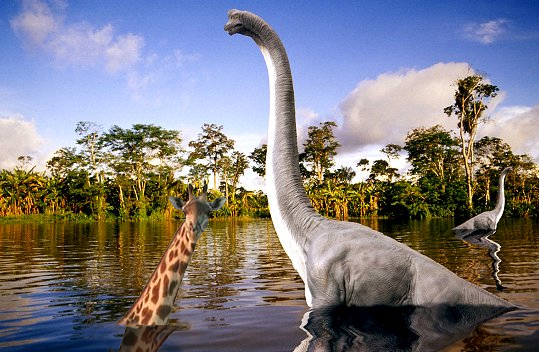 Design Photoshop par MgkrBR pour DesignCrowd (Community Contests) | Design #9036655