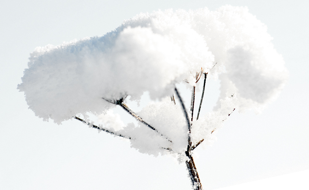 Photography by DurhamTyke for DesignCrowd (Community Contests) | Design #9052731